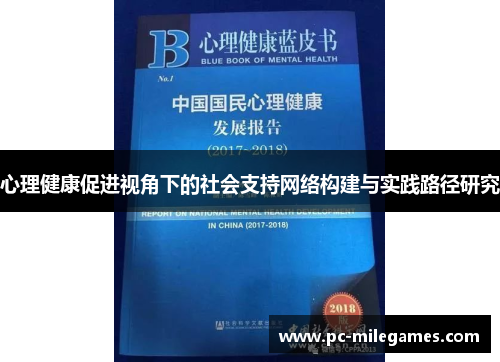 心理健康促进视角下的社会支持网络构建与实践路径研究