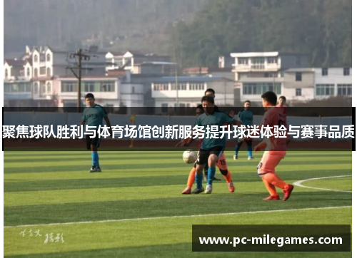 聚焦球队胜利与体育场馆创新服务提升球迷体验与赛事品质
