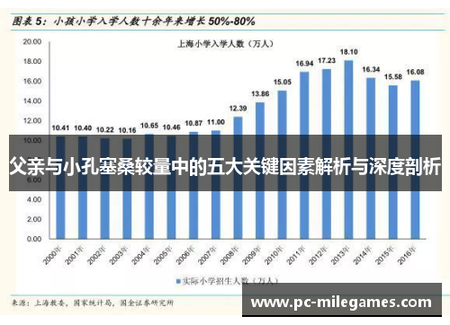 父亲与小孔塞桑较量中的五大关键因素解析与深度剖析